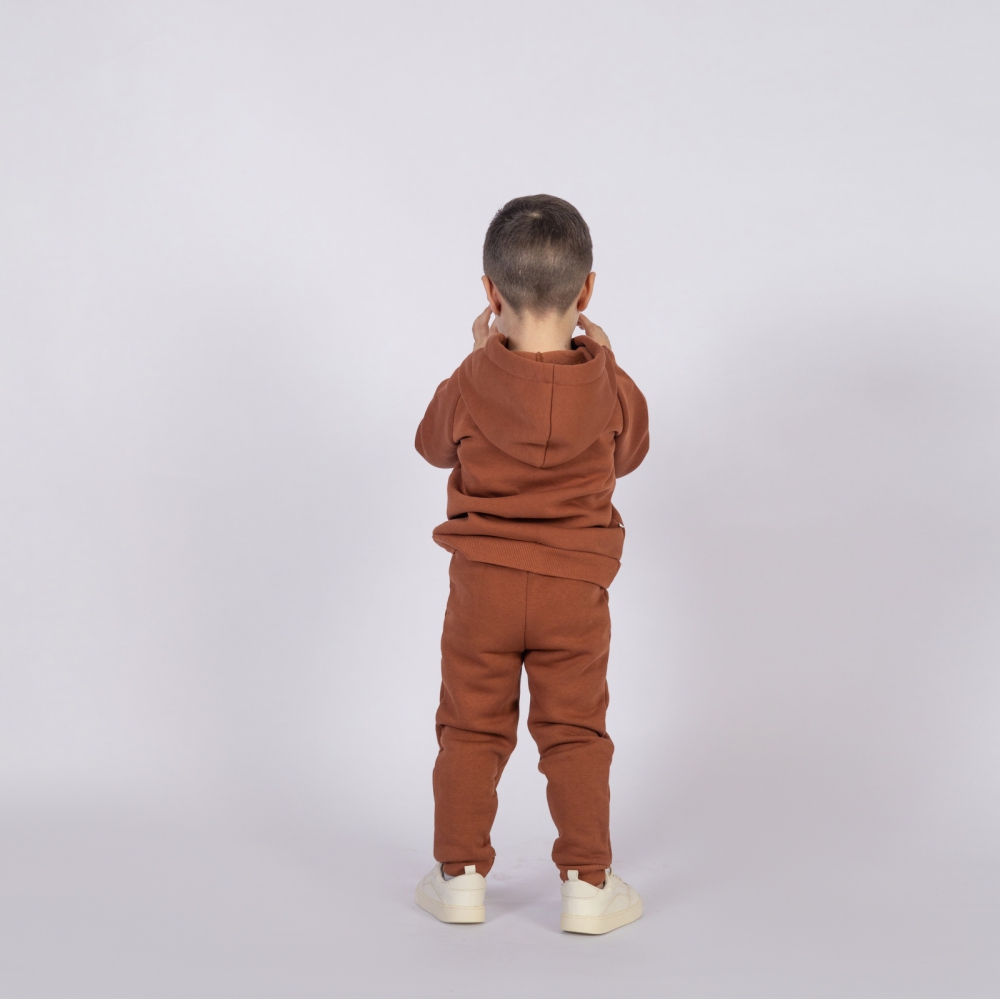 296-ТР. Свитшот с капюшоном  + Штаны, хлопок 65%, 35% ПЭ, 3-х нитка (начес) терракот 80,86,92